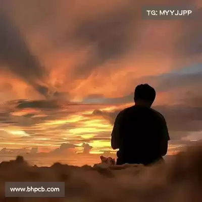 蓬财蓬